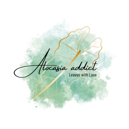Alocasia.addict