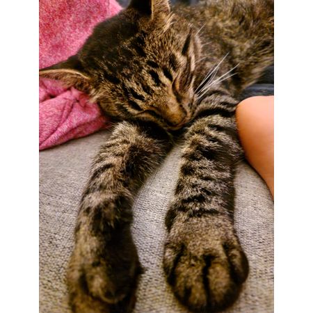 HappyRomeo
