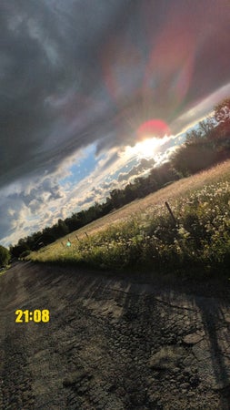 Bosse971