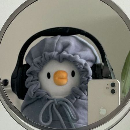 microDuck