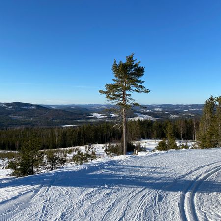 Hjerta80