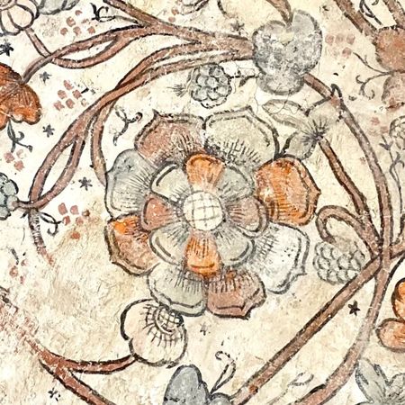 Officinalis2010