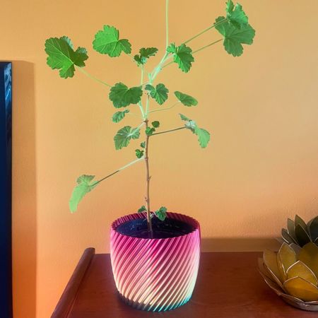 plantor_och_krukor