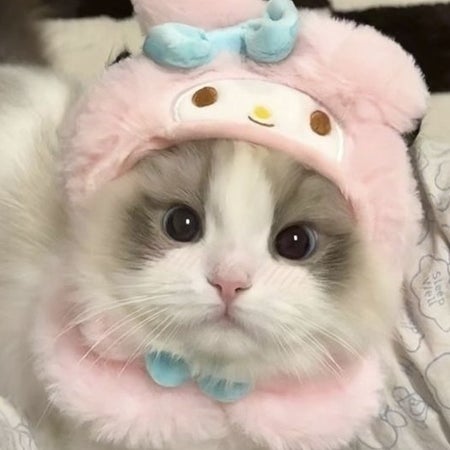 NinniBck