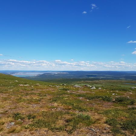 Utochinvend