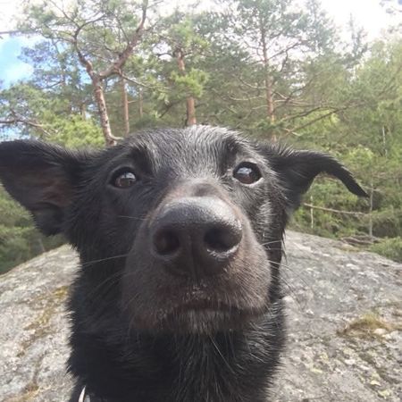 danneka