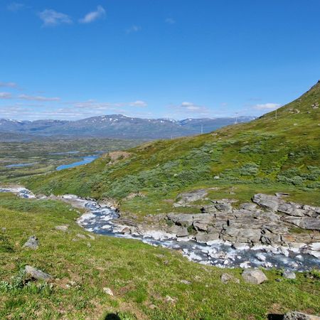 Joakimhjorton