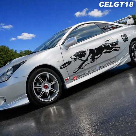 celgt18