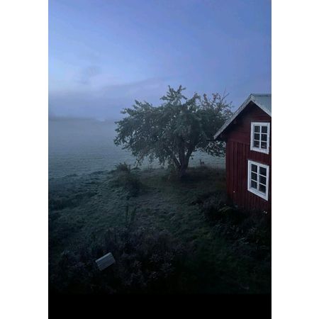 Arkeologen71