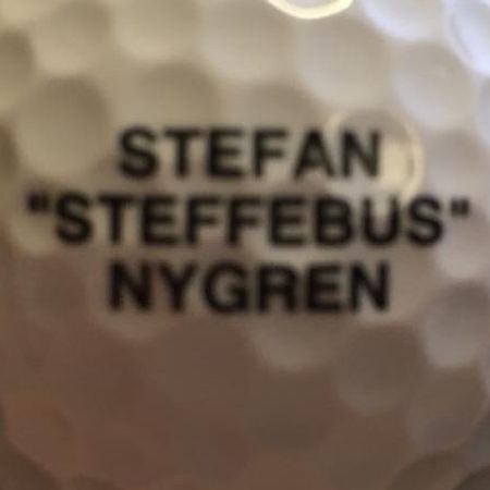 steffebus