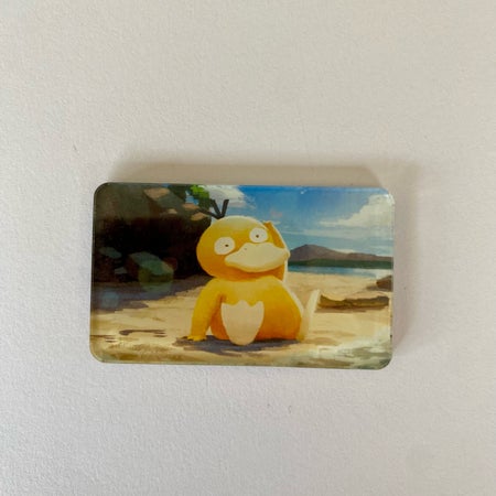 PokeMagnets