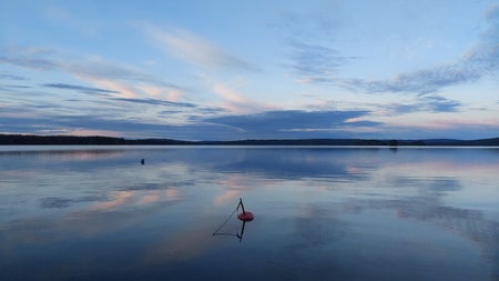 myrten04