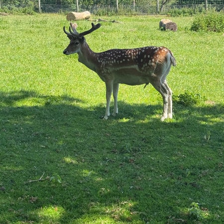 Lycklig köp och säljare