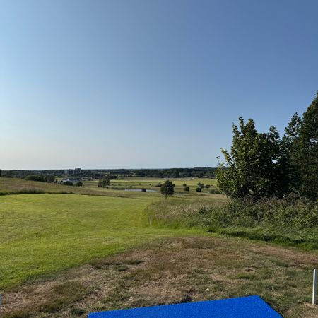 Miltonforsell1