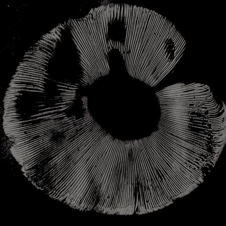 ErikT02