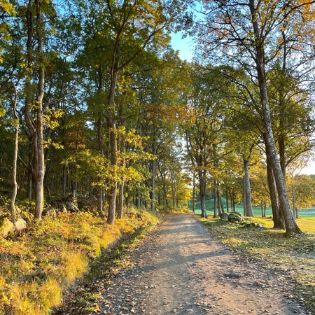 RebeckaSiöland