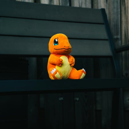 Dragonite365