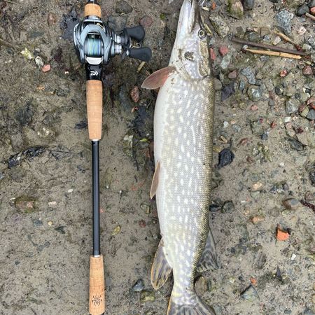 lure_enthusiast1