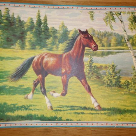 Flinkan1