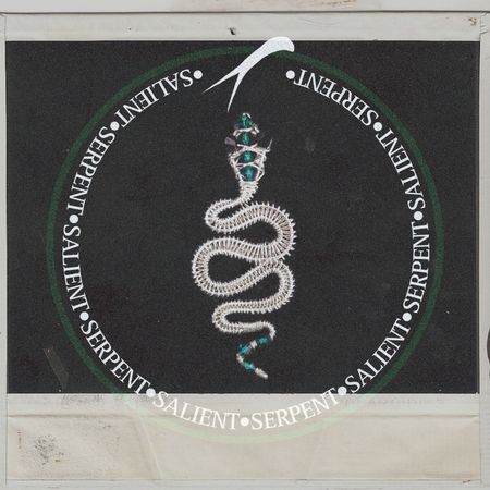SALIENTSERPENT