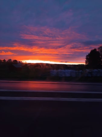 leeri