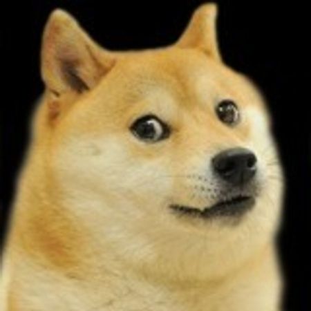 Goldendoge