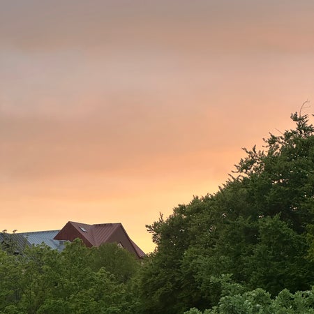 MattiSeppala