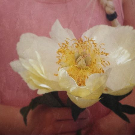 mysan_2011