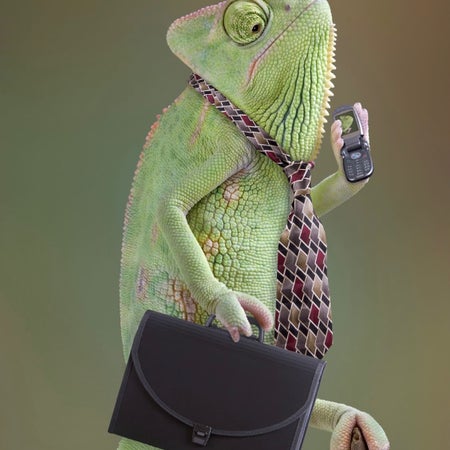 Eagerlizard