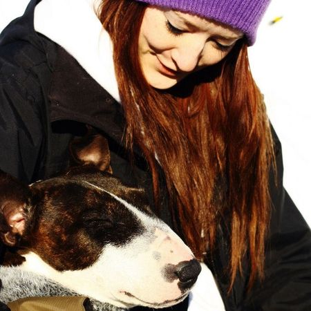 independent_hedgehog