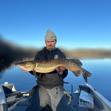 Fiskaren93