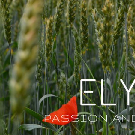ElysianDesignSweden