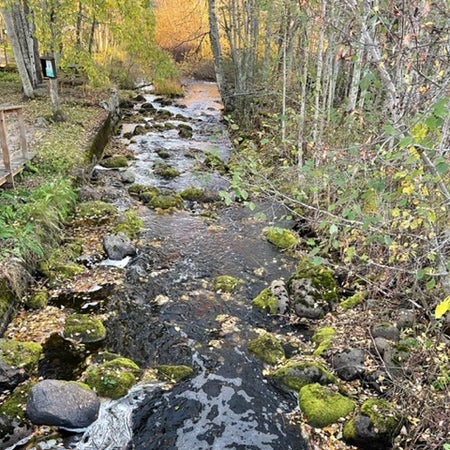 Luskandinav