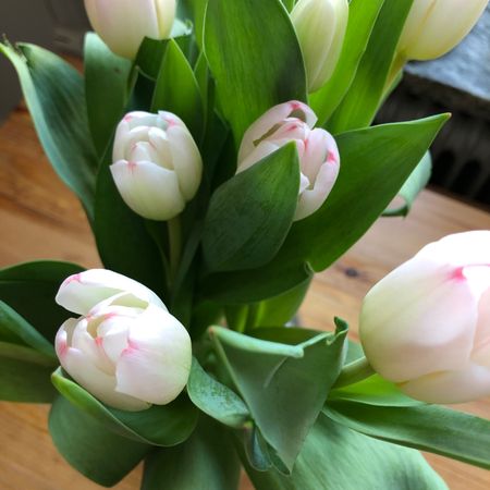 Rosannabe