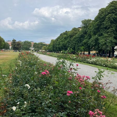 Nätloppisar