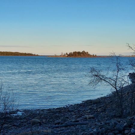 verifiable_strawberry