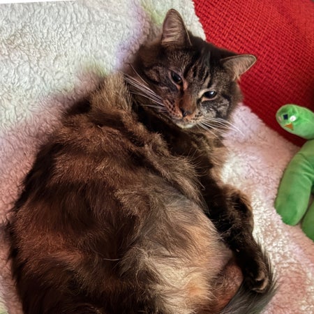 Offmagician1