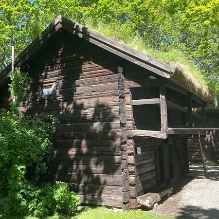 Yngve6161