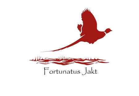 FORTUNATUS