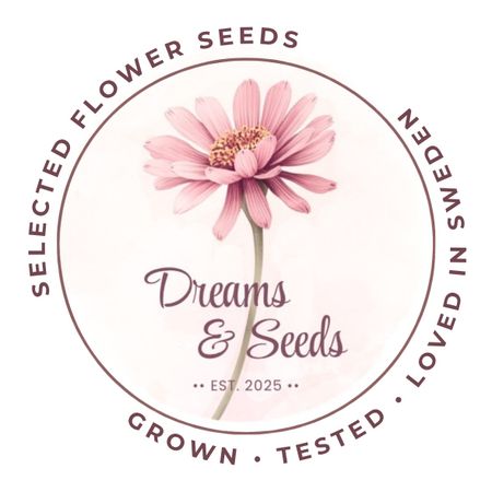 Dreams-and-Seeds