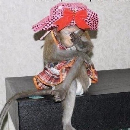polite_nataliia