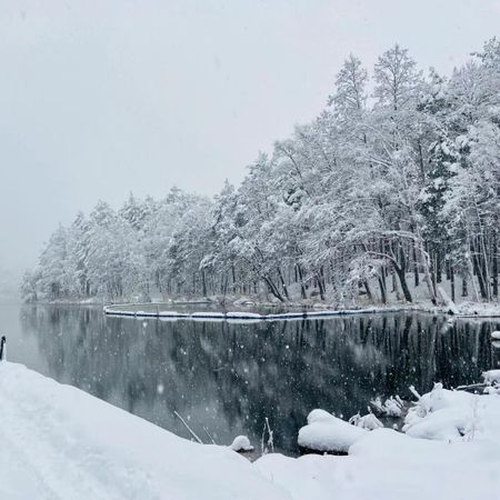 Dekolek
