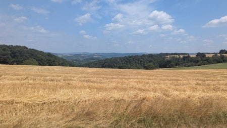 Jonas0807