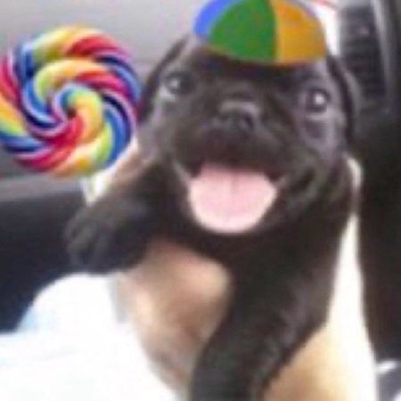 humorous_boysenberry