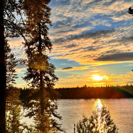 Skogsmaskinen