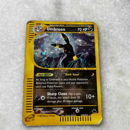 PokeJensen1994