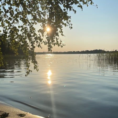 Höstskogen