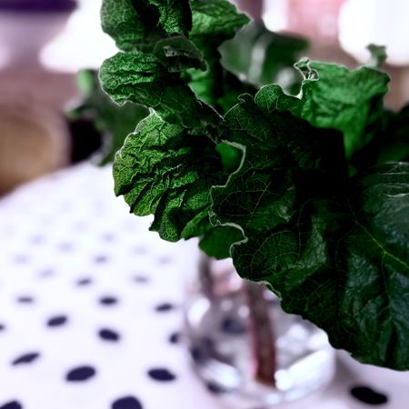 påjaktefterdetunika