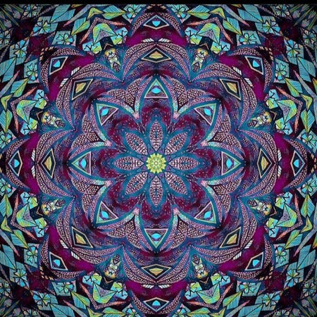 psyr486