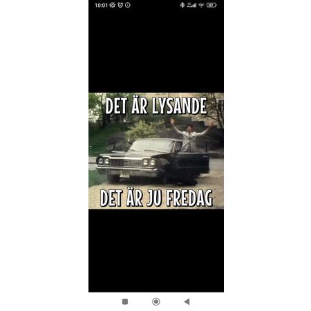 Hollo_amazon